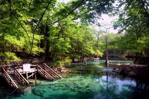 A serene, lush green landscape with clear water and wooden steps leading down to a tranquil swimming area.